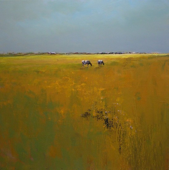 Jan Groenhart koeien in de wei